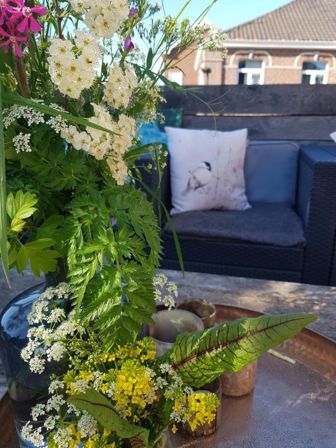 Maison Sophie Bed & Breakfast Tongeren Luaran gambar